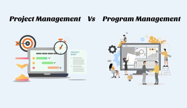 project vs program management