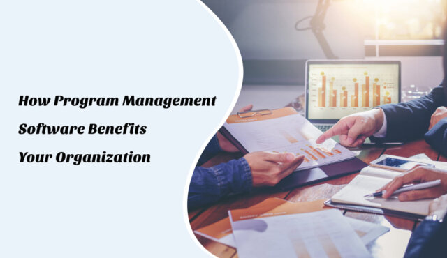 Program Management Process