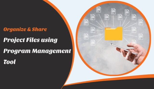 organize and share project files using program management tool