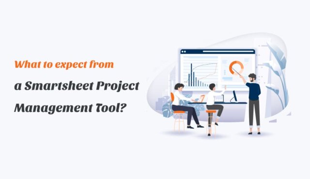 what to expect from a smartsheet project management too