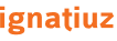 Ignatiuz logo 2